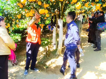 Kinh tế - Chính trị